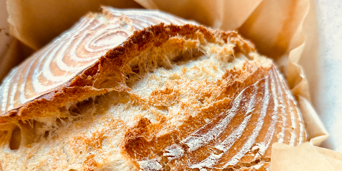 Kolumne: Warum mein 150 Jahre alter Sauerteig mein bester Coach ist